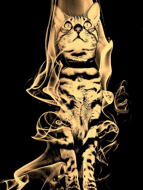 Saga - Look up 01 smoke_002