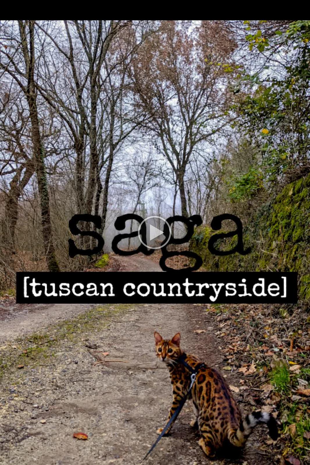 Saga - Tuscan countryside 202201