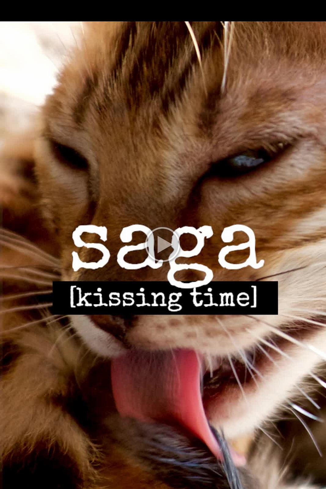 Saga - kissing time 2021