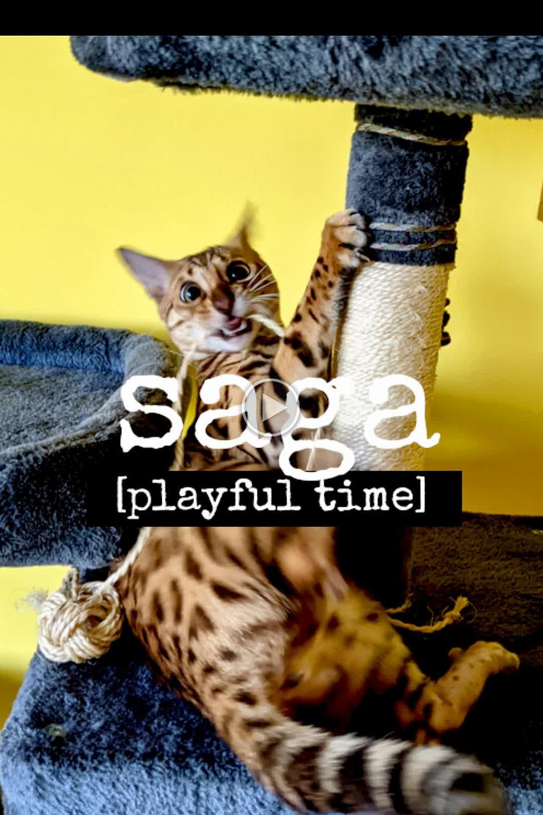 Saga - playful time 2021