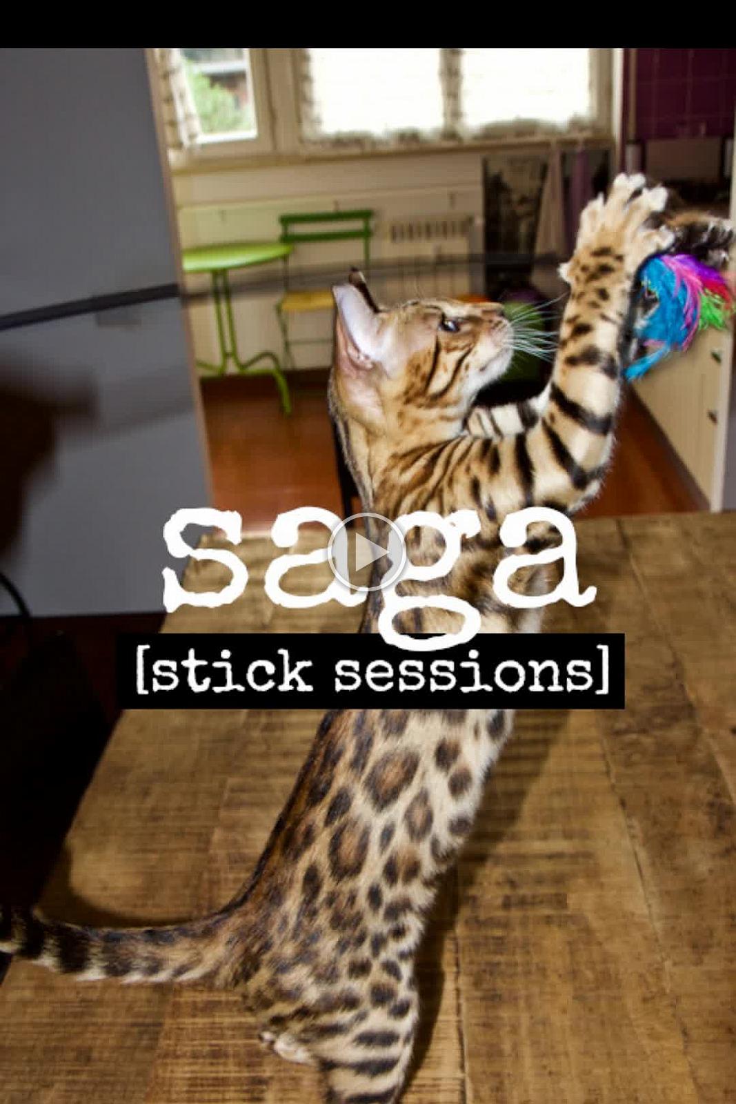 Saga - stick session 2021-07