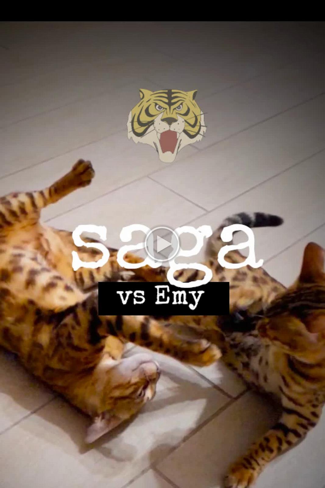 Saga - vs Emy 2021-09