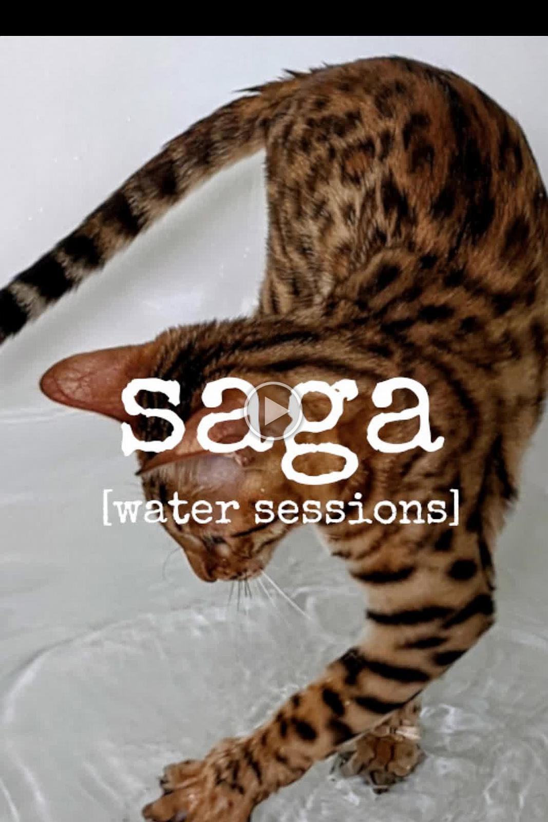 Saga - water indoor sessions