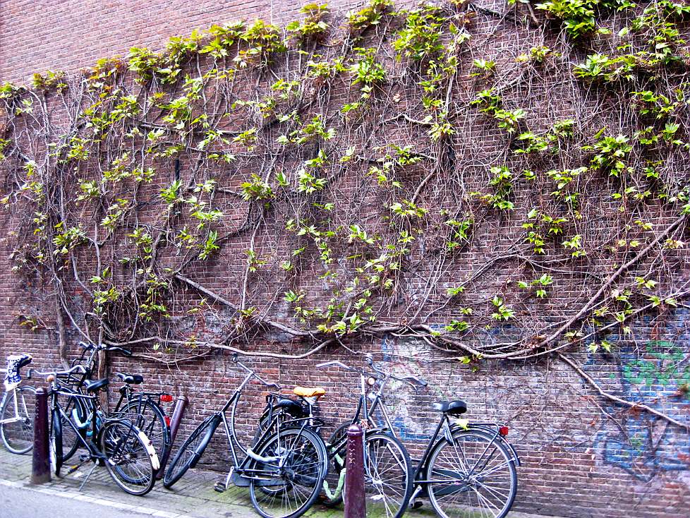 2013-05_Amsterdam_005