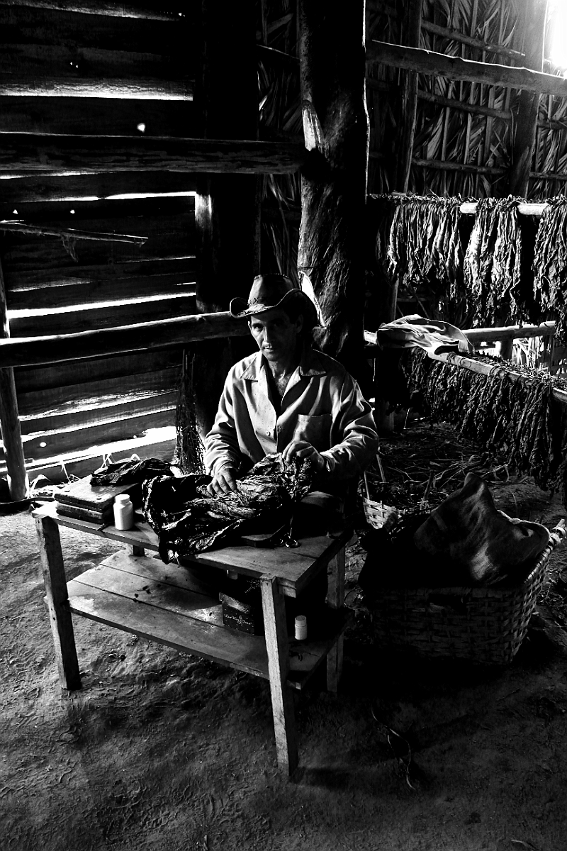 Cuba_(2016)_0211_[VINALES