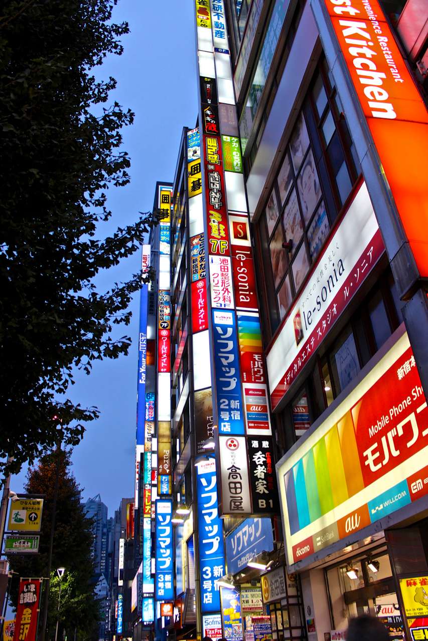 2014-11_JAPAN_0143_(Tokyo)