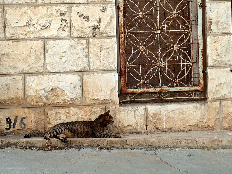 2014-05_JERUSALEM_0649_s