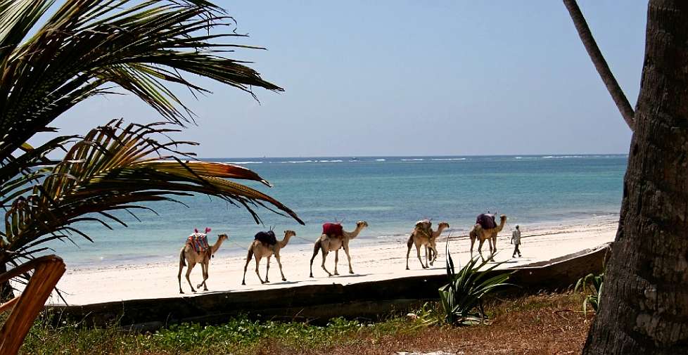 2008-01_02-Diani-Seaside_002