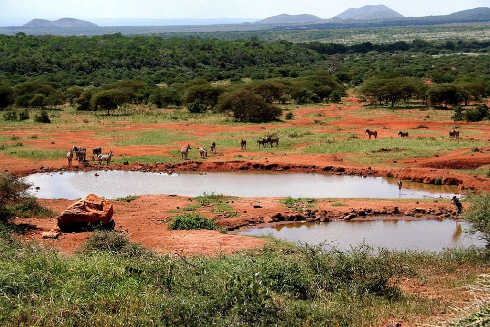 2008-01_03-Tsavo_011