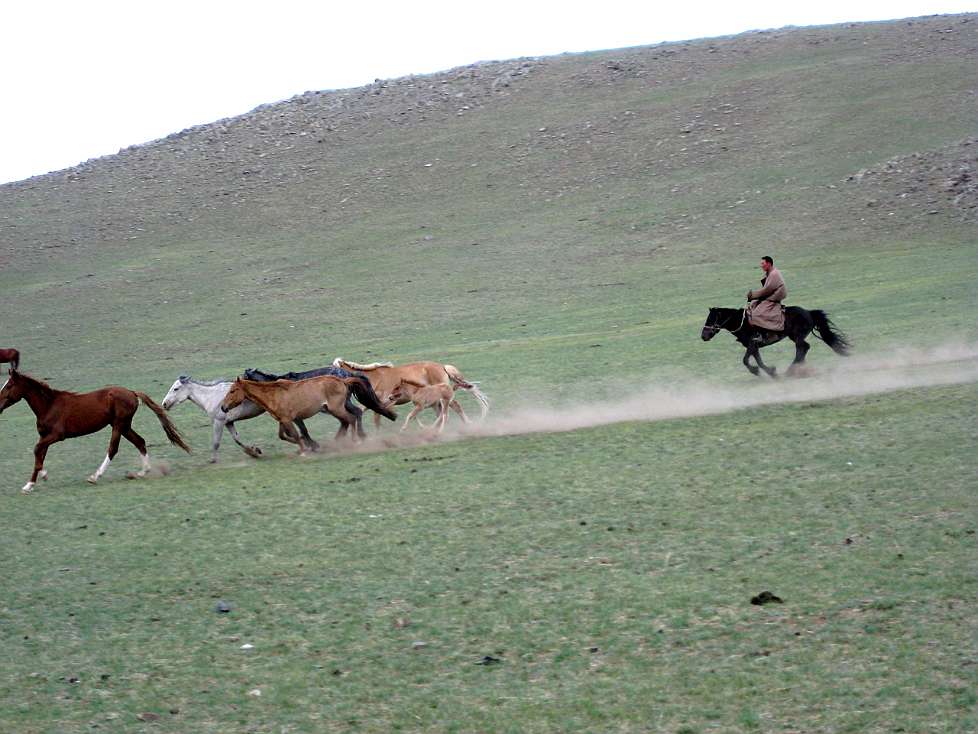 2008-06_Mongolia_0134_Tzagaan_Zalaa