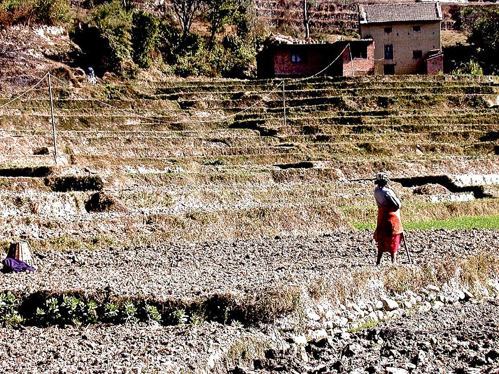 2003-12_Nepal081.jpg