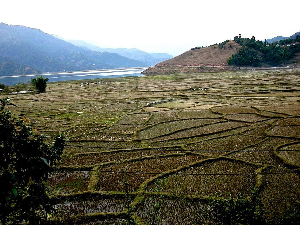 2003-12_Nepal106.jpg