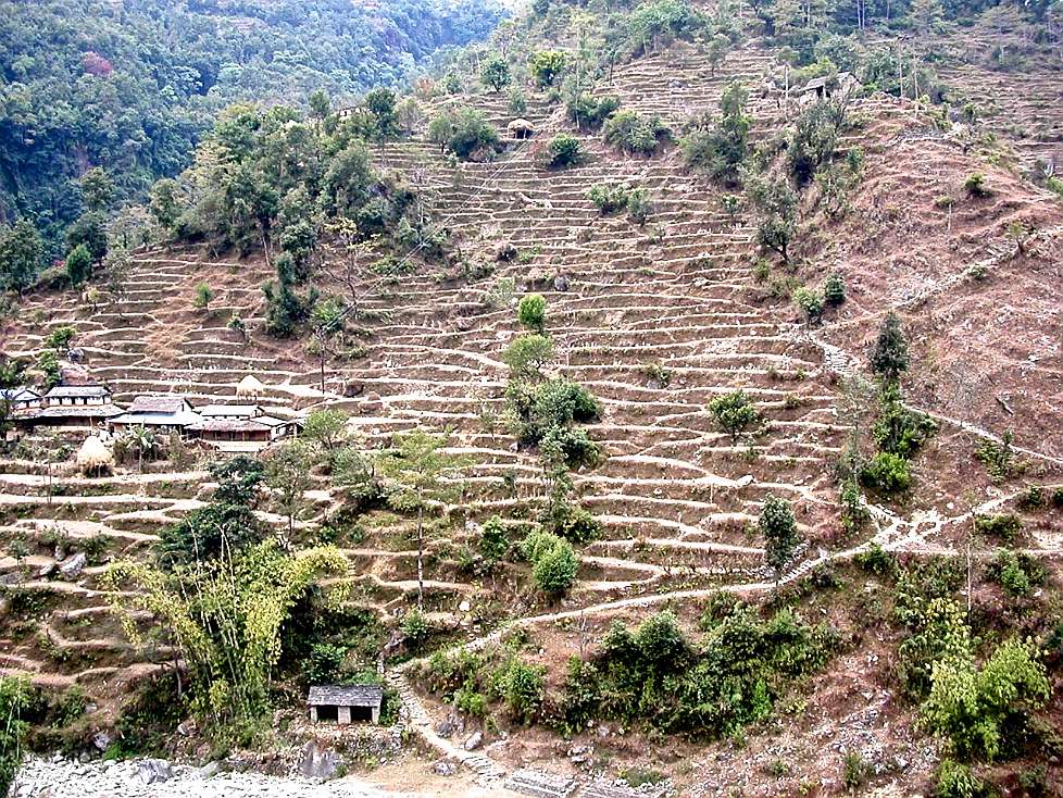 2003-12_Nepal111.jpg