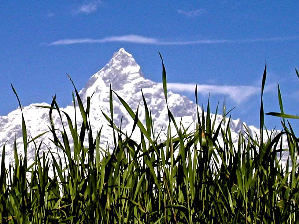 2003-12_Nepal201.jpg