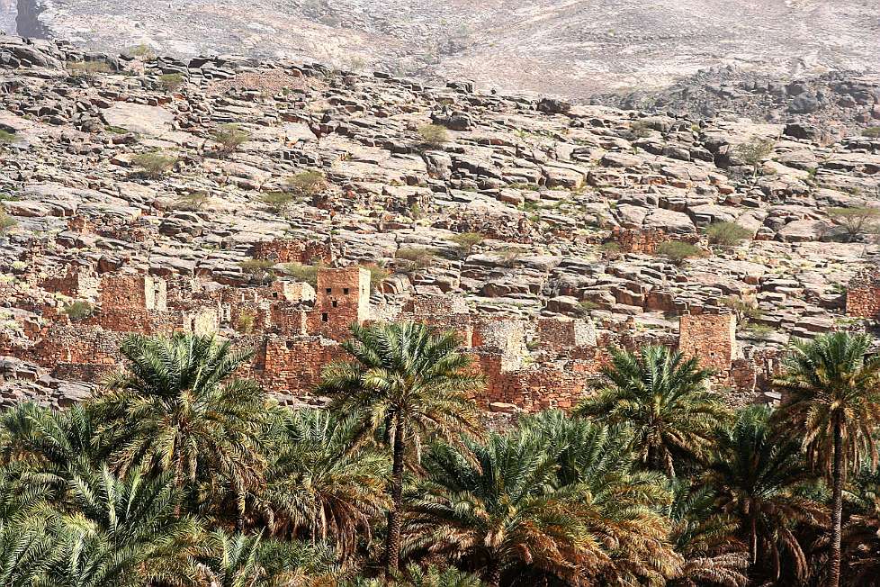 2010-03_Oman_1098_c