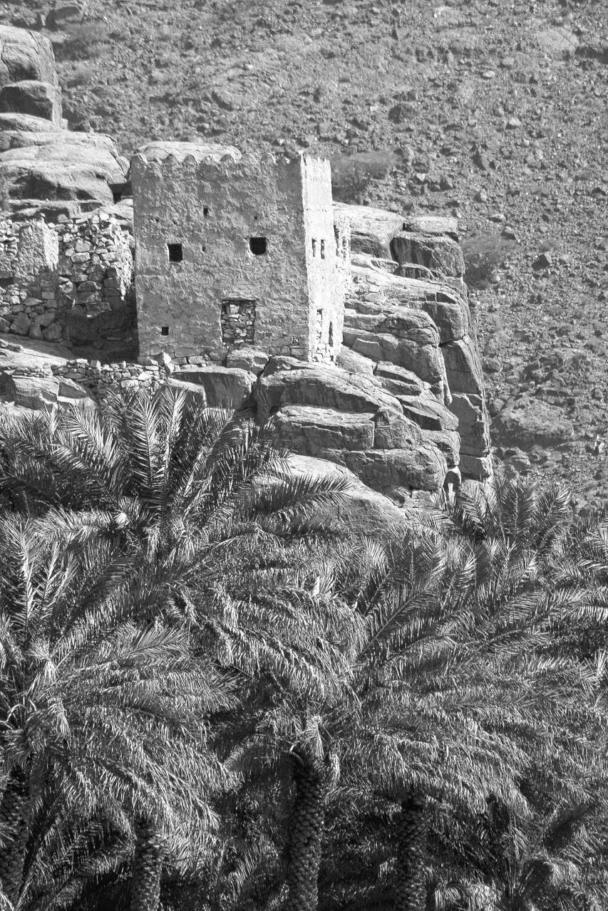 2010-03_Oman_1099_c