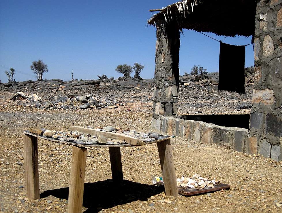 2010-03_Oman_1100b_s
