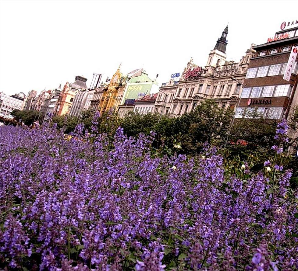 2006-06_Prague_011_-_Piazza_Venceslao