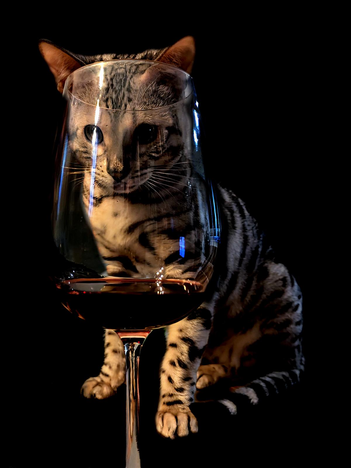 20250212_Nepal_194026271-2b wine NOIR