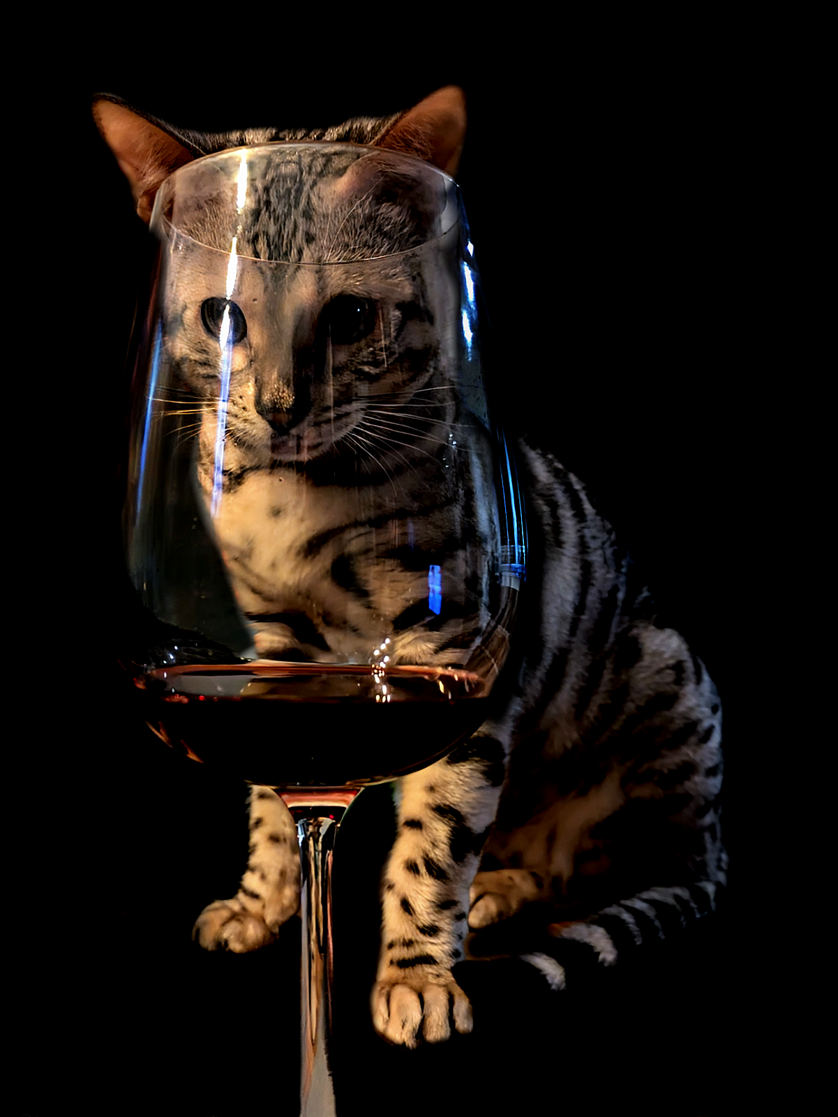 20250212_Nepal_194026271-2b wine NOIR