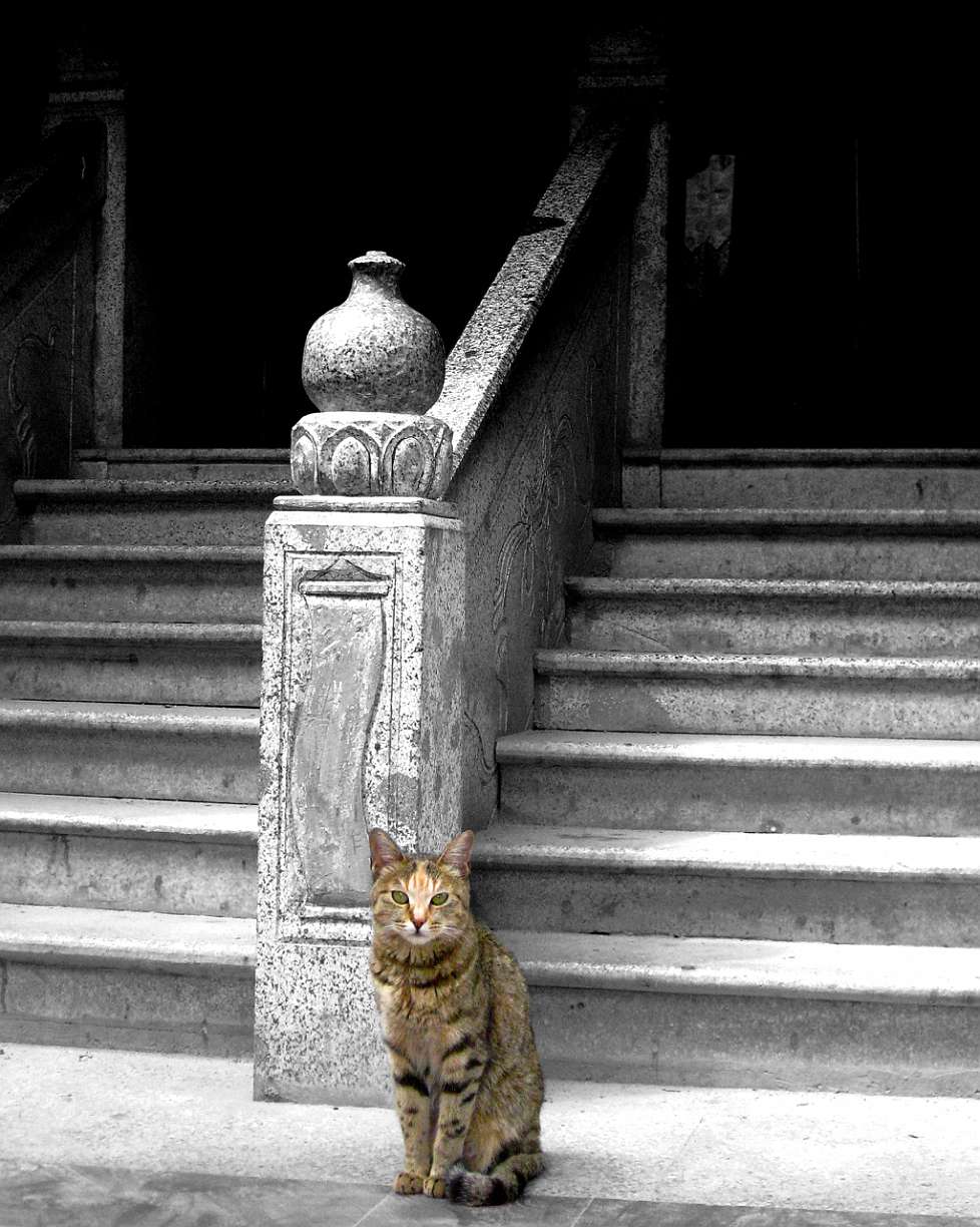 2010-09_Tibet_008s