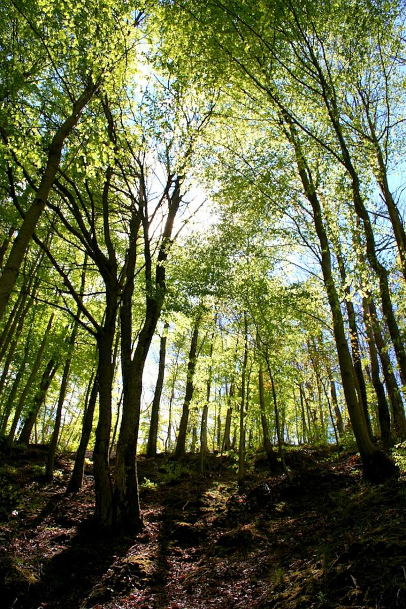 Tuscany_Monte_Amiata_0002
