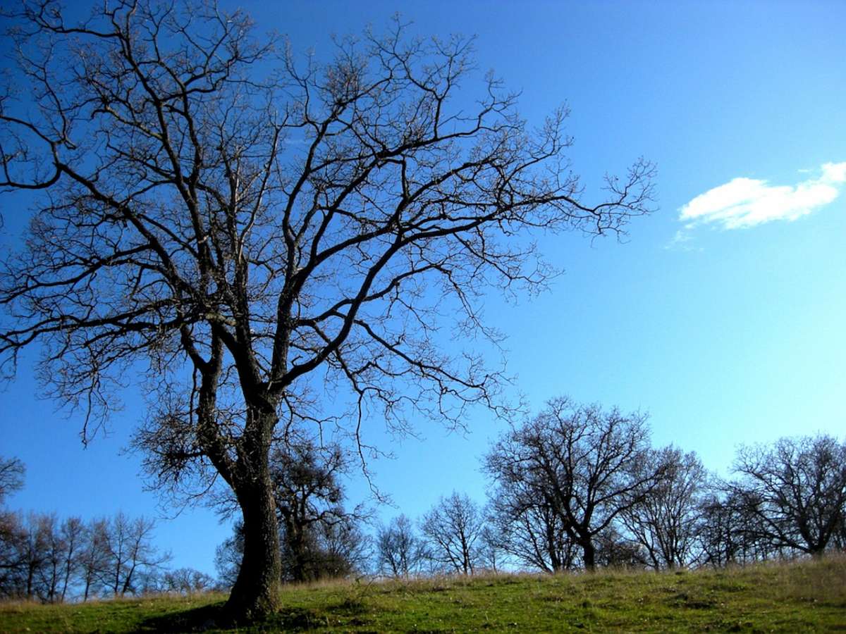 Tuscany_Poggio_capanne_076