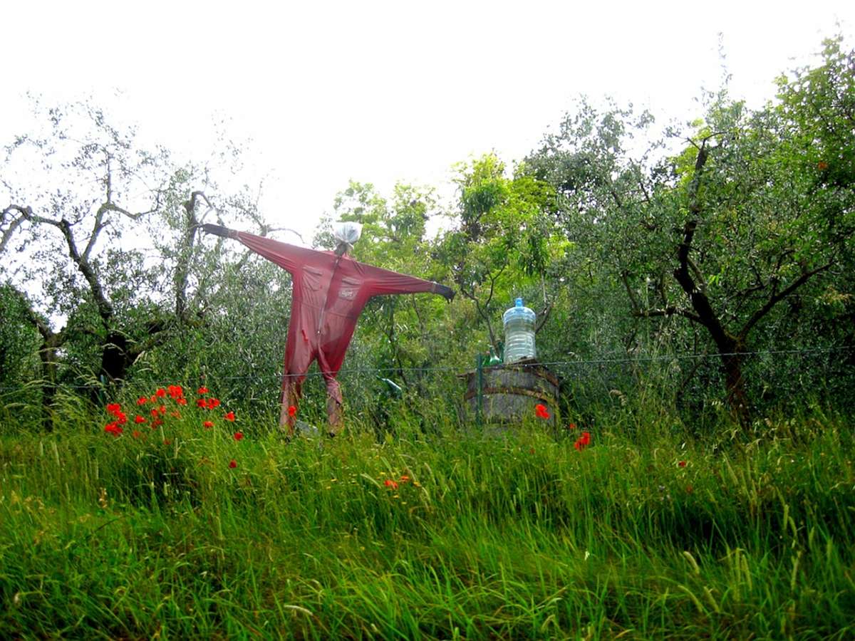 Tuscany_Sarteano_100
