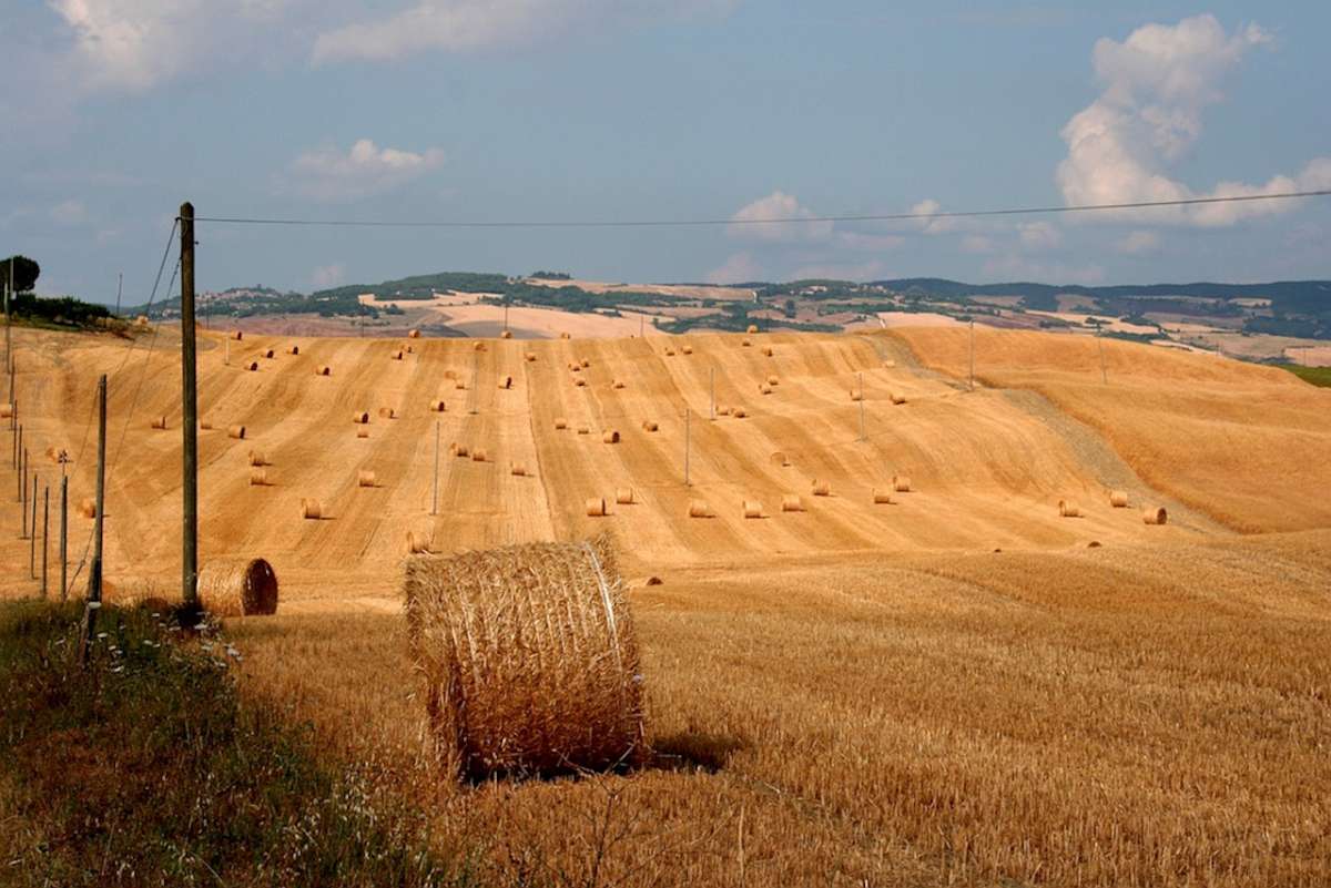 Tuscany_Val_d'Orcia_0880