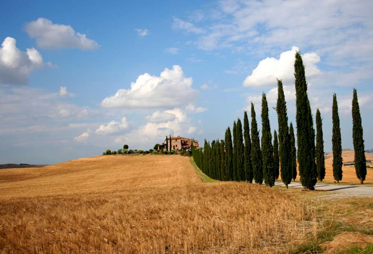 Tuscany_Val_d'Orcia_0999
