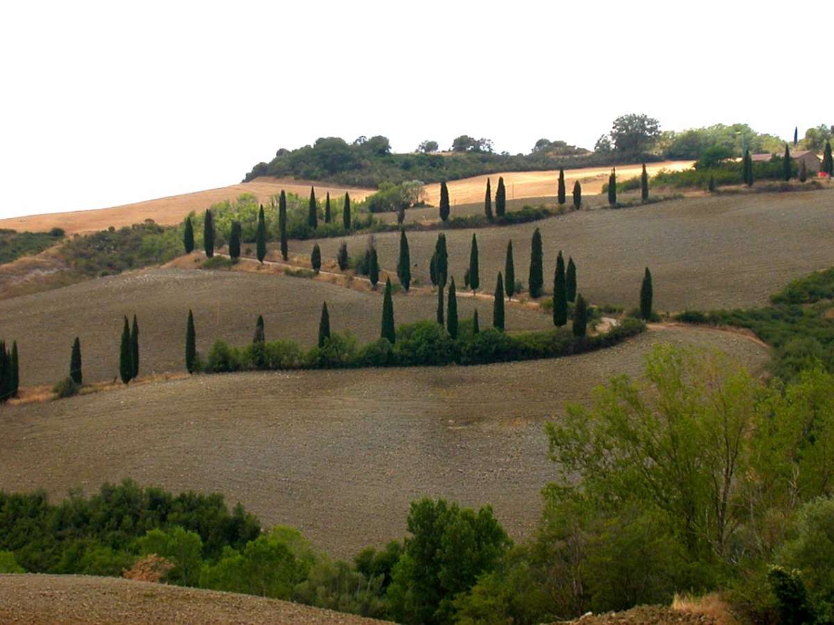 Tuscany_Val_di_Chiana__-_La_Foce_0001