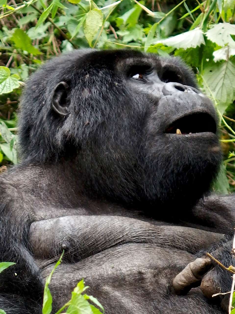 2013-12_UGANDA_0204_s.jpg