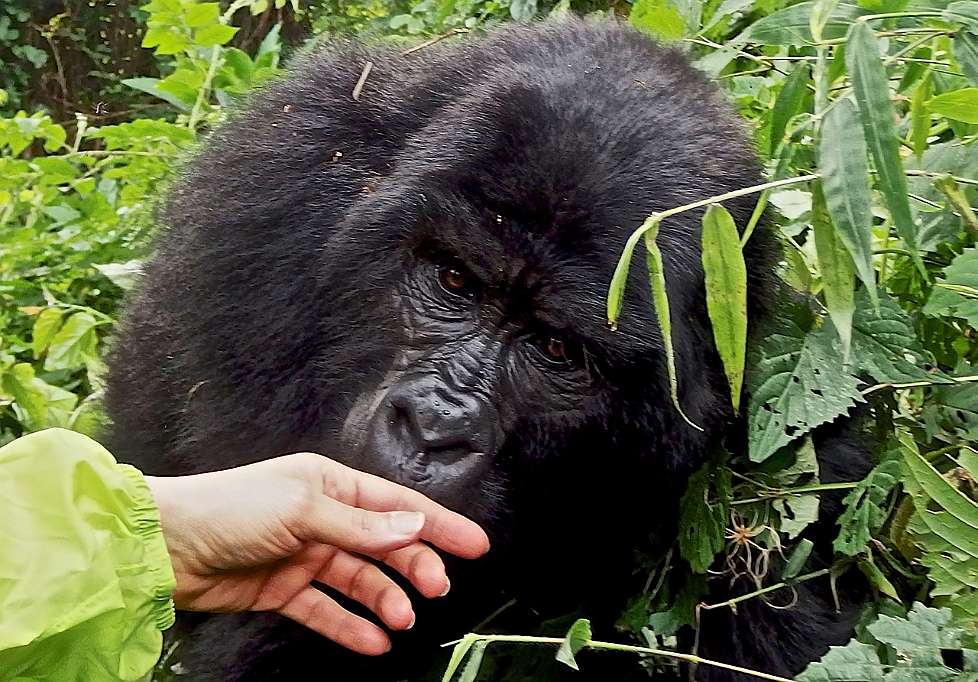2013-12_UGANDA_0208_s.jpg