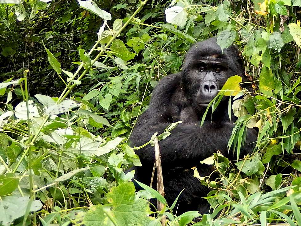 2013-12_UGANDA_0238_s.jpg