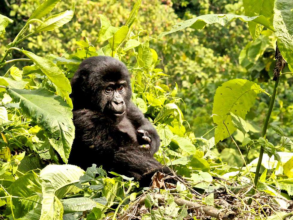 2013-12_UGANDA_0655_c.jpg