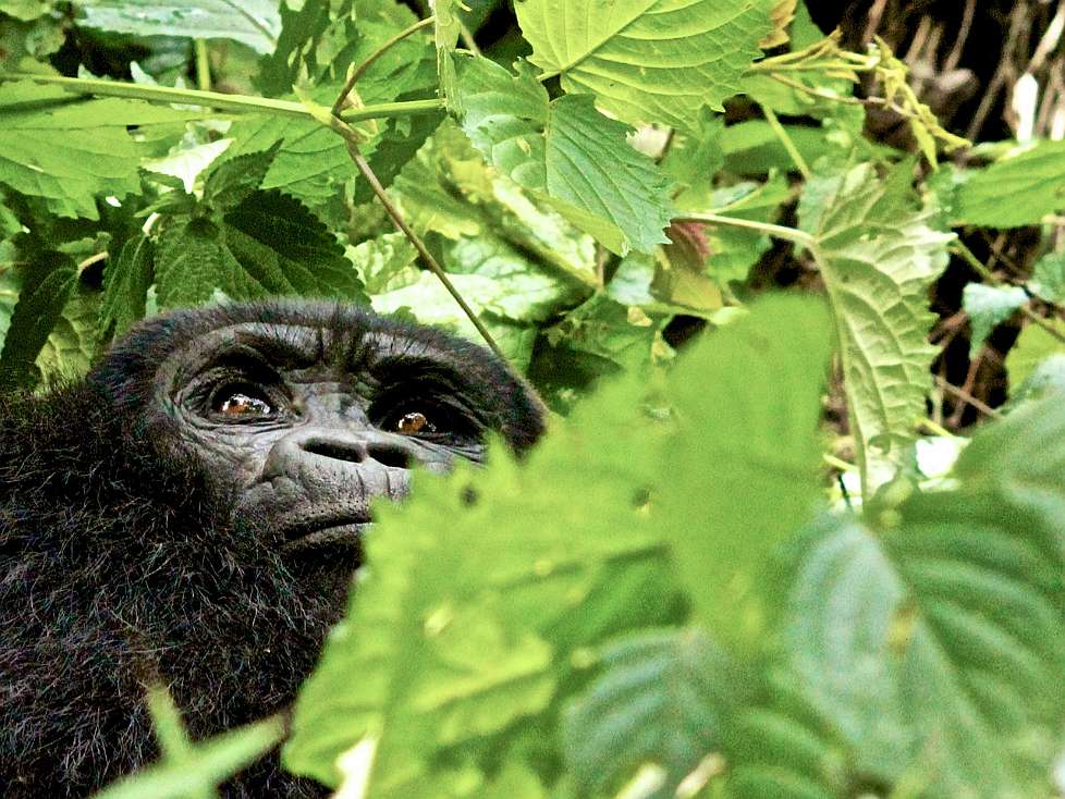 2013-12_UGANDA_0683_c.jpg