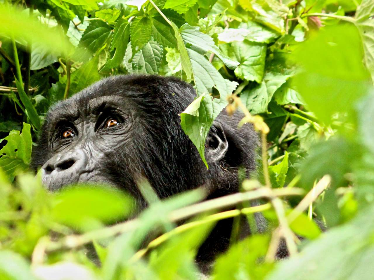 2013-12_UGANDA_0688_c.jpg