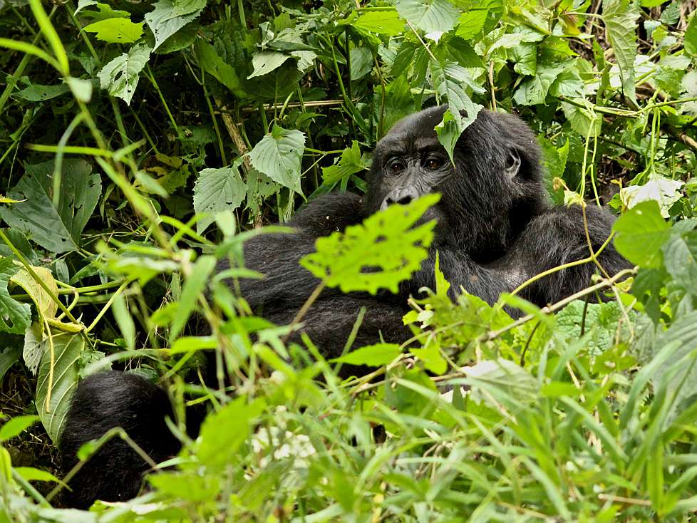 2013-12_UGANDA_0691_c.jpg