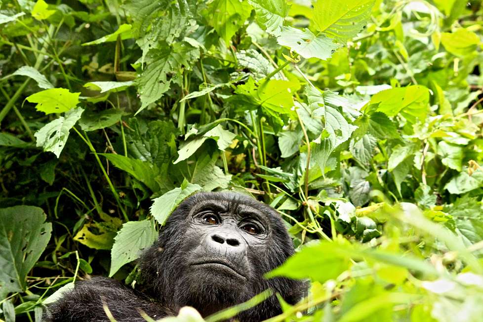 2013-12_UGANDA_0707_c.jpg