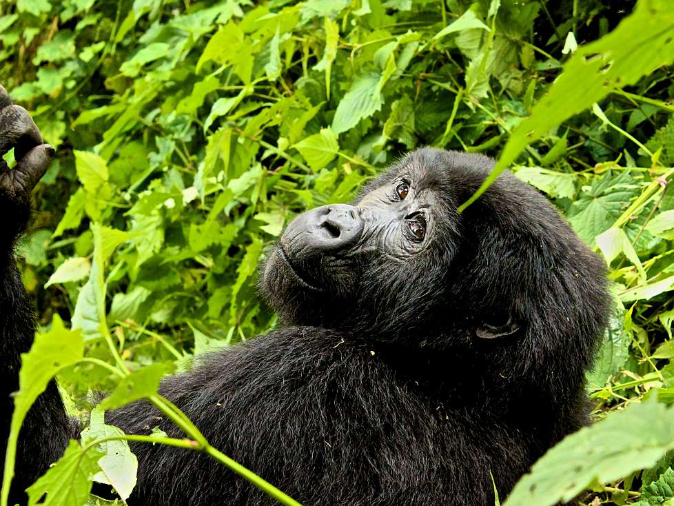 2013-12_UGANDA_0720_c.jpg