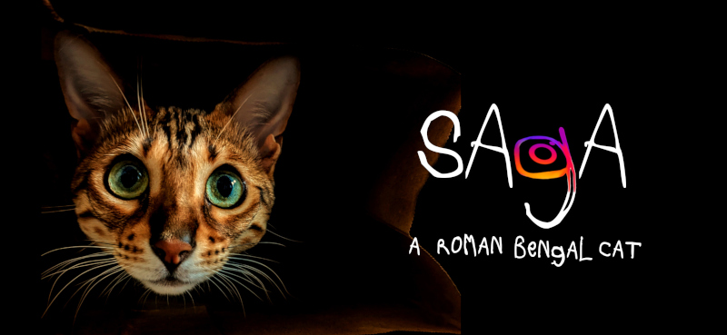 saga