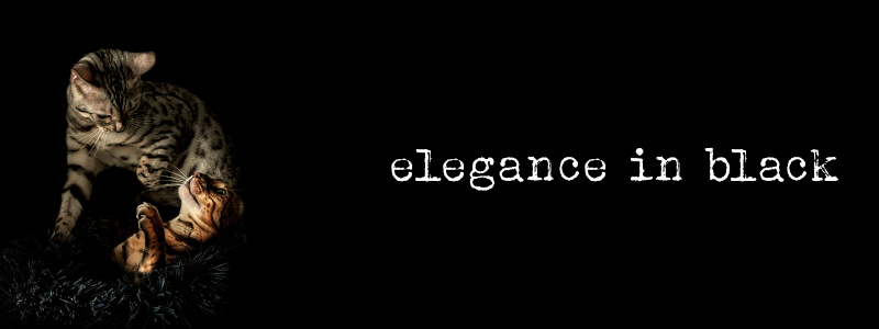 elegance in black