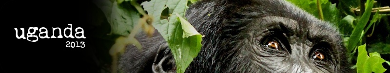 uganda