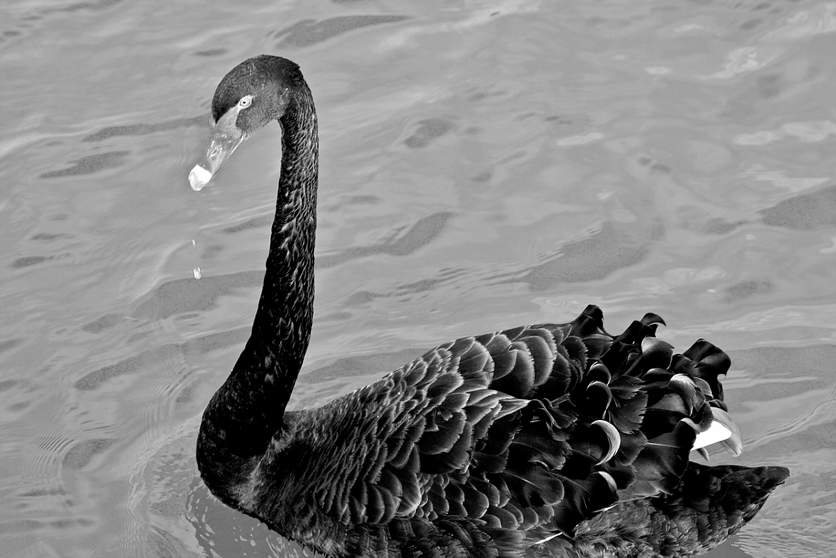 BW_2008-08 Borgogna Houseboat_0013_c