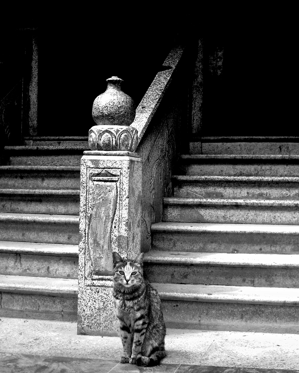 BW_2010-09 Tibet_008s