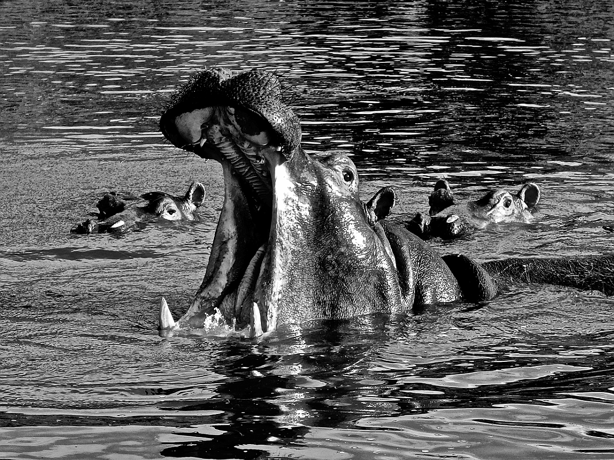 BW_2013-12 UGANDA_0113_s