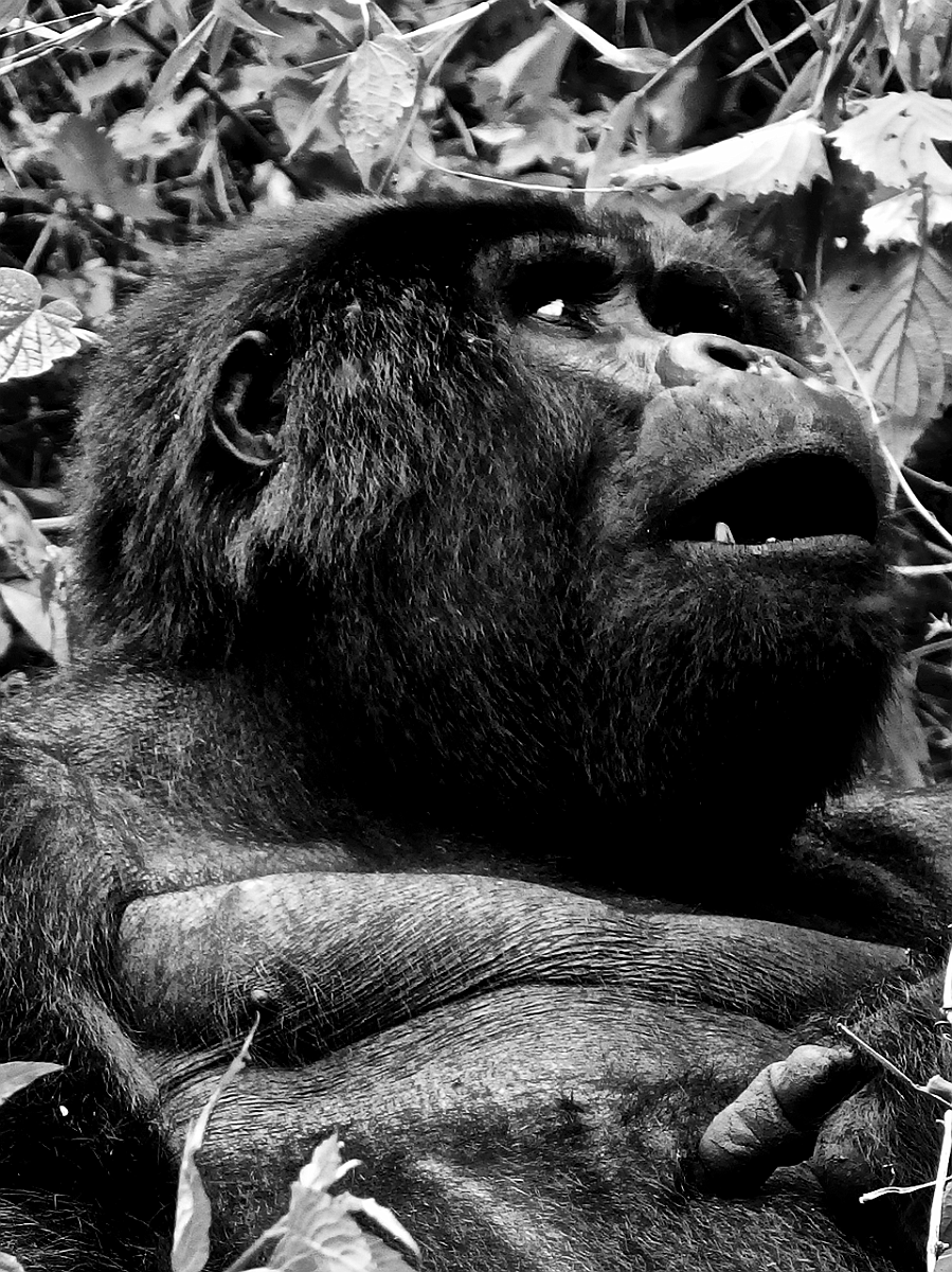 BW_2013-12 UGANDA_0204_s