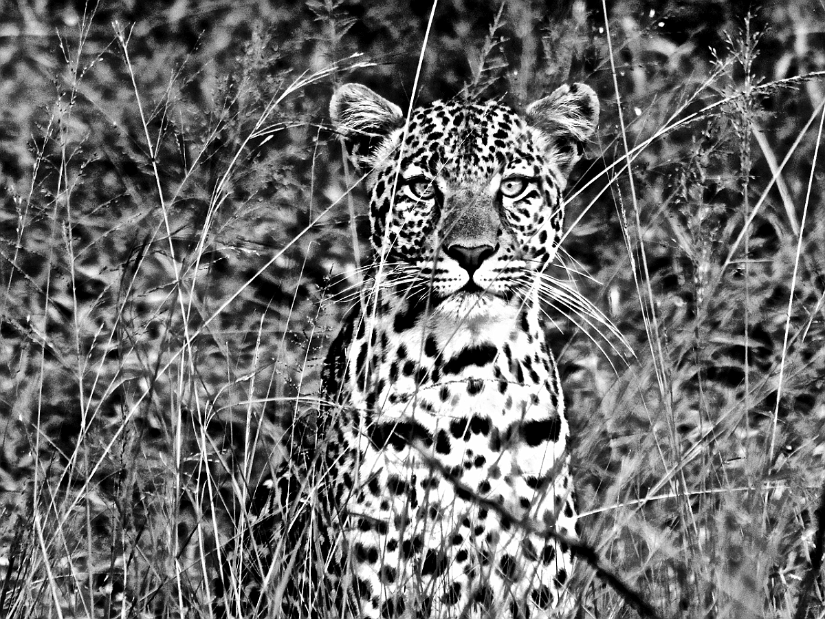 BW_2013-12 UGANDA_0479_c