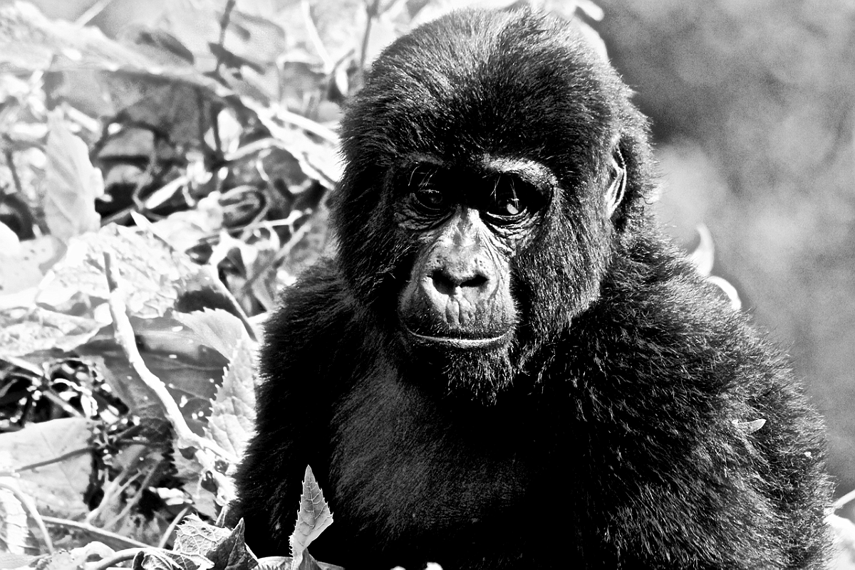 BW_2013-12 UGANDA_0660_c