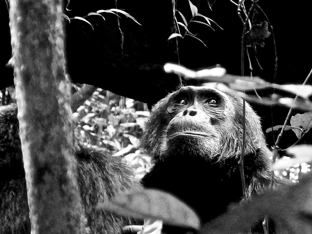 BW_2013-12 UGANDA_0815_s